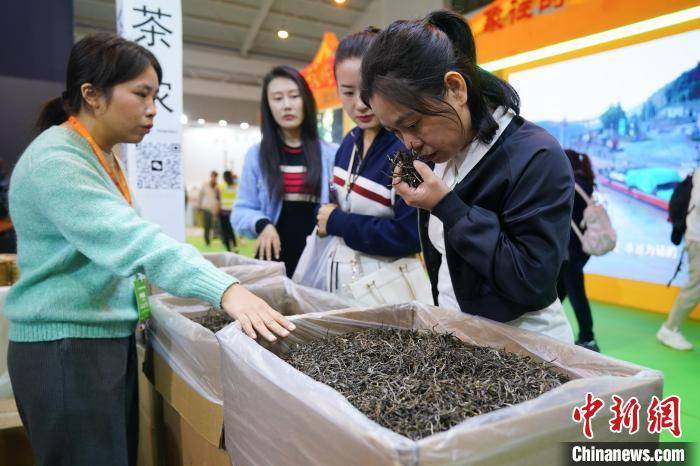 千年云茶展新韵：以新茶饮会世界友