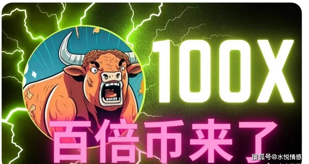 2024年，真 正 的100 倍 币，只有这6种